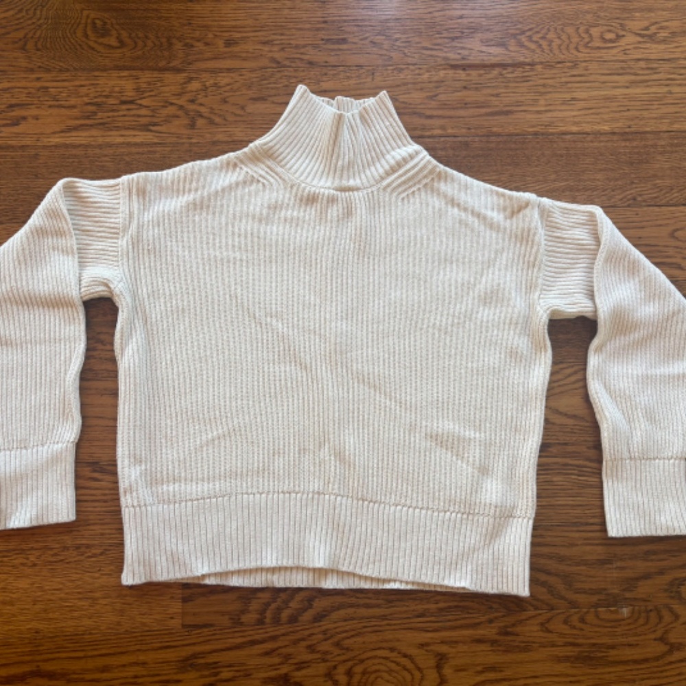 Everlane Organic Cotton Ribbed Turtleneck